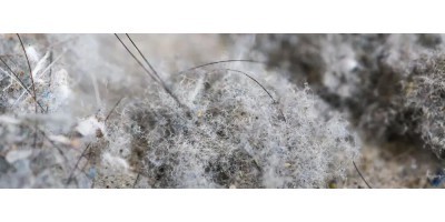 掌握粉塵濃度傳感器檢定規(guī)程：確保工業(yè)安全與健康