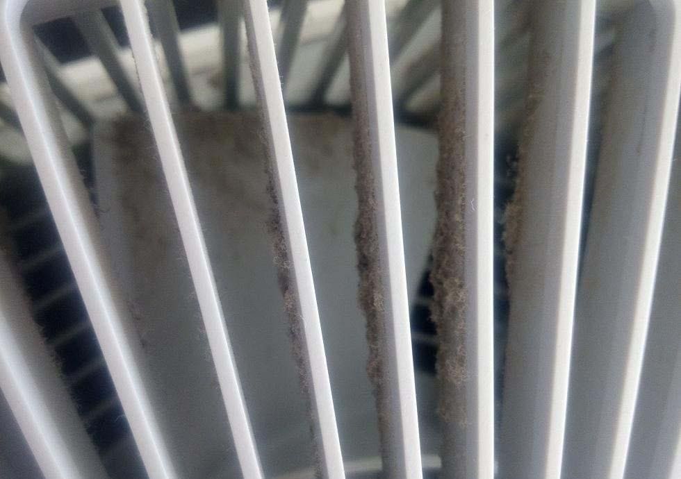 空氣凈化器要這樣清洗才能保持功效