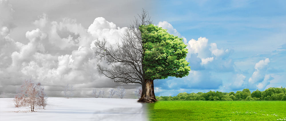 粉塵傳感器：新風(fēng)系統(tǒng)的&ldquo;眼睛&rdquo;