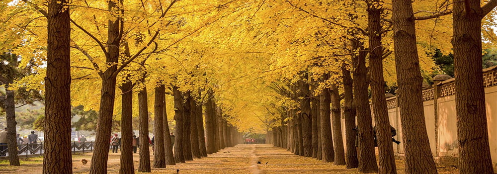 當(dāng)秋季來臨，霧霾橫行時(shí)，你該如何保護(hù)自己？