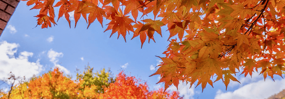 城市秋冬：室內(nèi)新風(fēng)系統(tǒng)的必要性