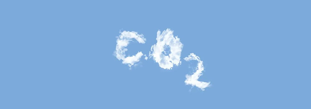 二氧化碳培養(yǎng)箱校準(zhǔn)規(guī)范