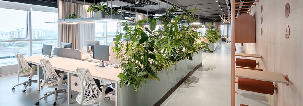 CO2傳感器：辦公室必備