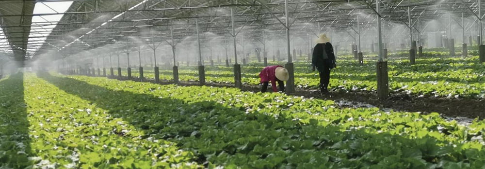 多合一氣體傳感器在各領(lǐng)域的應(yīng)用